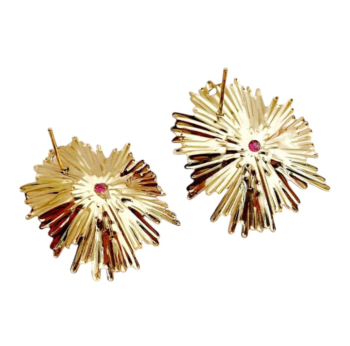 Boucles D'oreilles Rosa