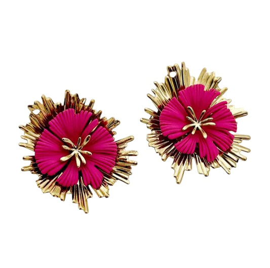 Boucles D'oreilles Rosa